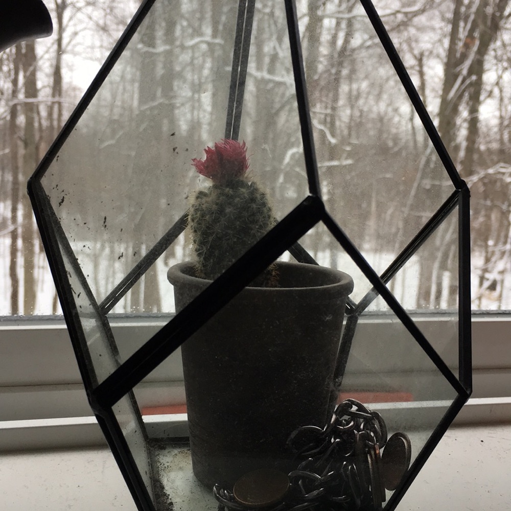 Meet your Posher, Kelly